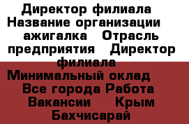 Директор филиала › Название организации ­ Zажигалка › Отрасль предприятия ­ Директор филиала › Минимальный оклад ­ 1 - Все города Работа » Вакансии   . Крым,Бахчисарай